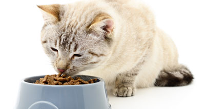 ava optimum health cat food